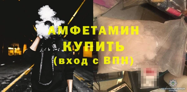 мдпв Бородино
