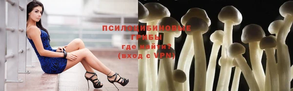 молекула духа Богданович
