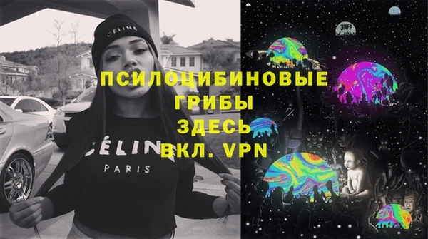 спиды Бронницы