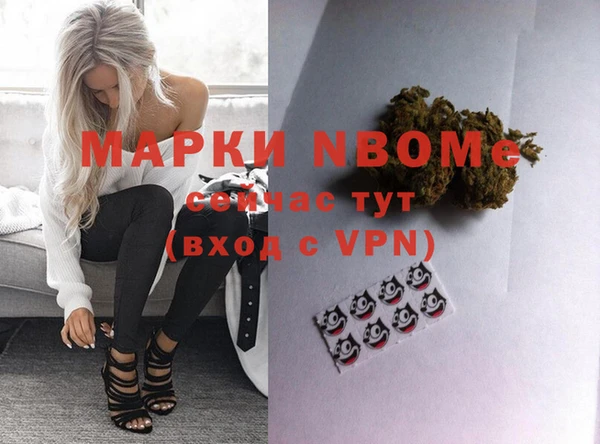ALPHA PVP Богородицк