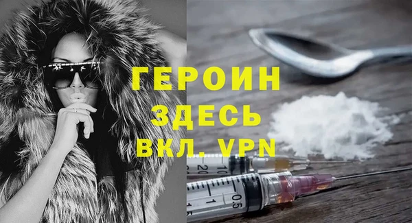 молекула духа Богданович