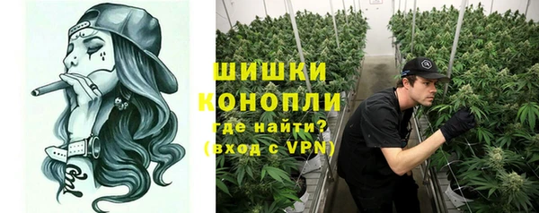spice Богородск