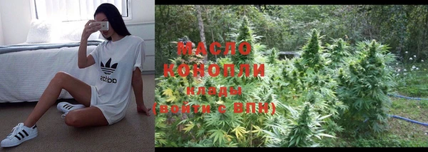 spice Богородск