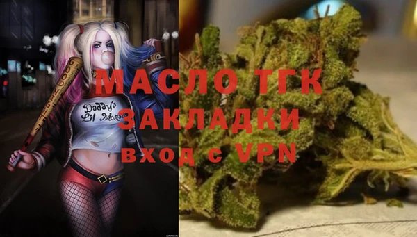 мдпв Бородино