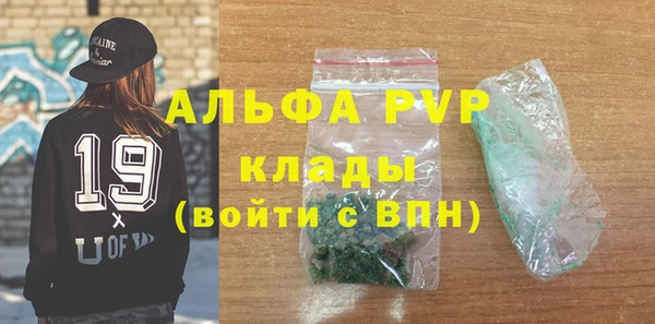 мдпв Бородино
