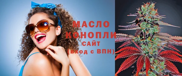 spice Богородск