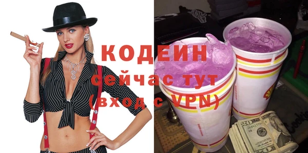 мдпв Бородино