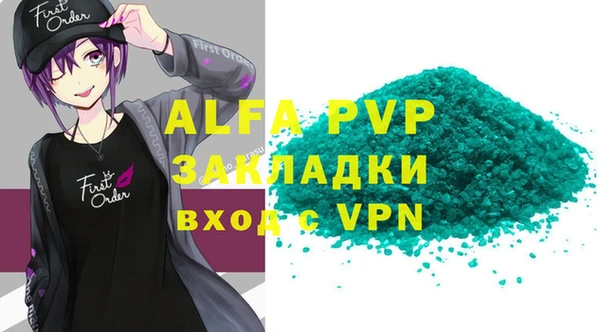 мдпв Бородино