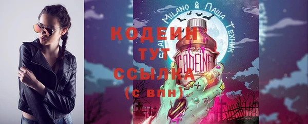 spice Богородск