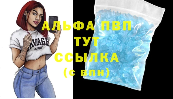 молекула духа Богданович