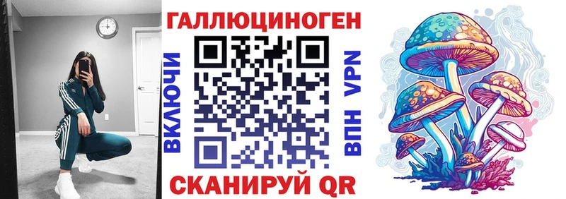 Купить  Кондрово  Псилоцибиновые грибы мицелий 